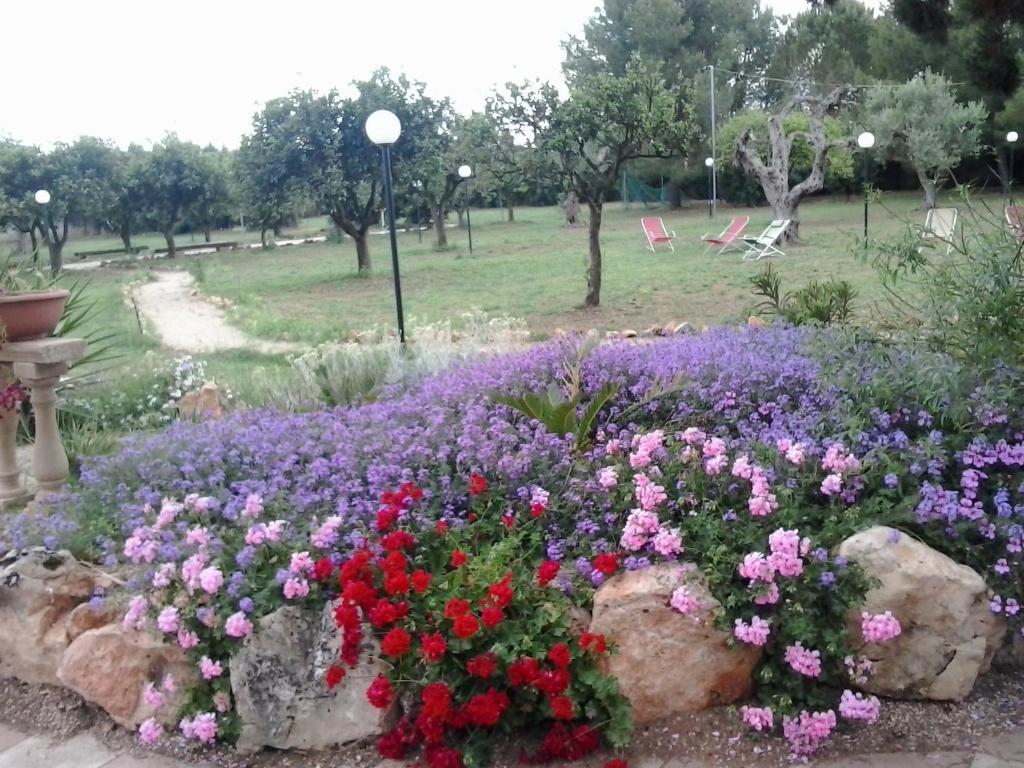 Agriturismo Santa Chiara Alezio Ngoại thất bức ảnh